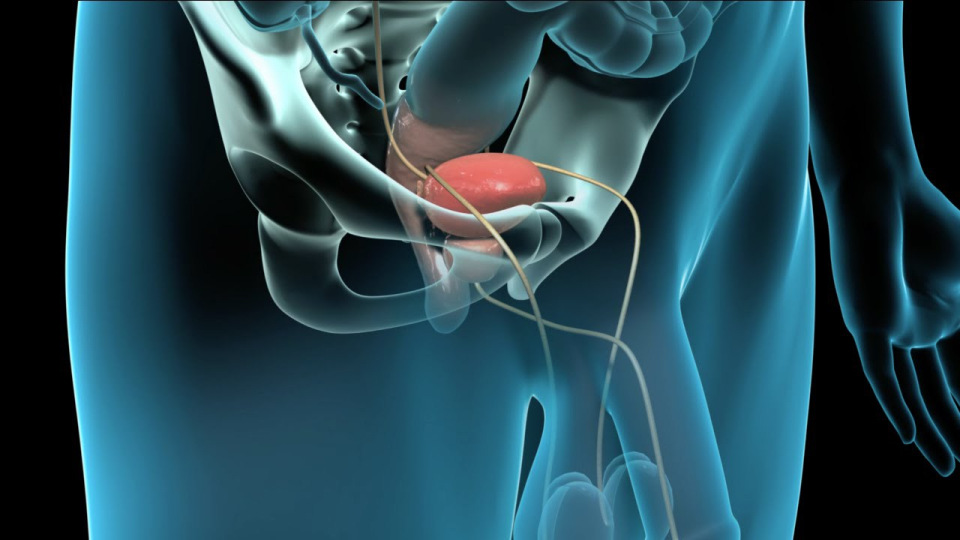 Ghimpe - adenom de prostata - 30 capsule ROTTA NATURA