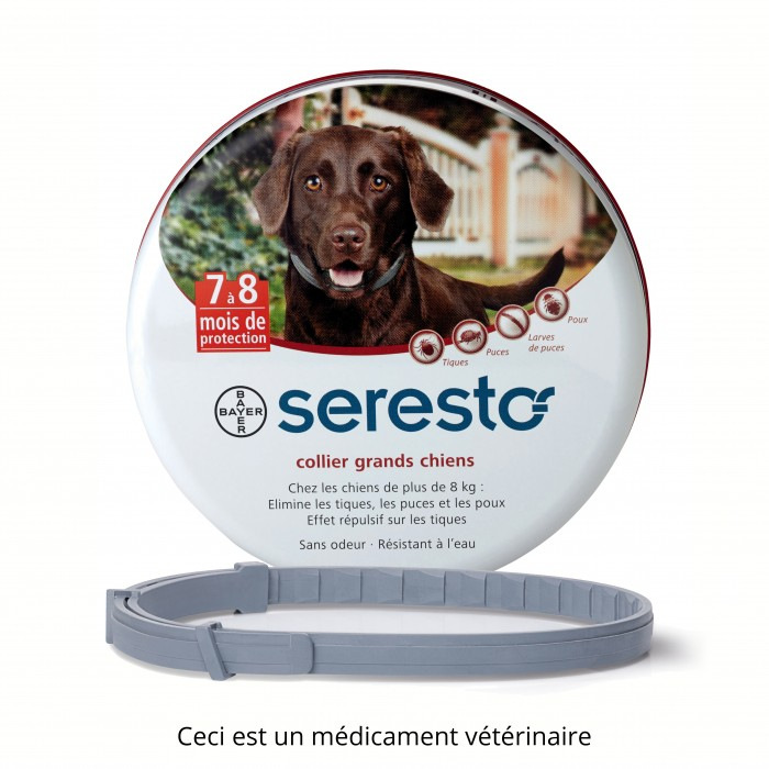 medicament pour chat contre les puces