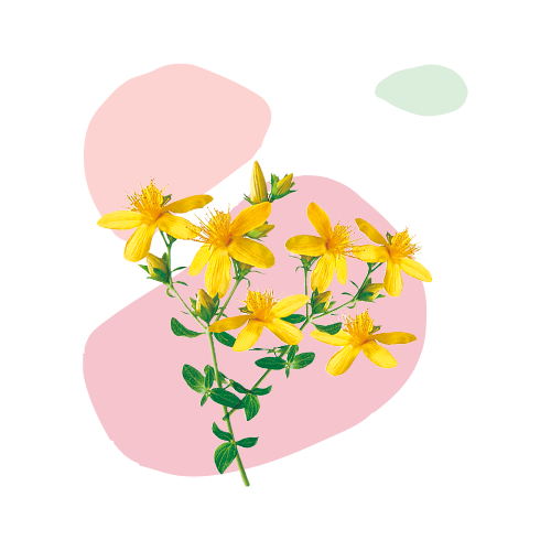 Millepertuis Naturactive