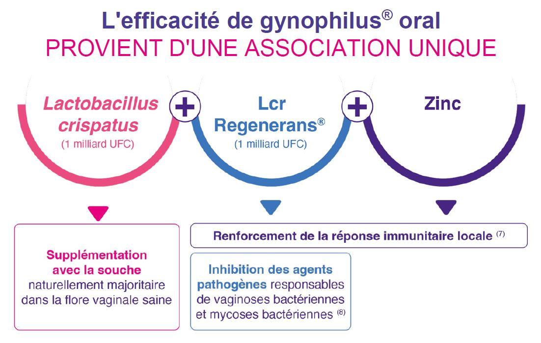 Formule et mode d'action Gynophilus