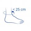 schéma circonférence cheville inférieur à 25cm
