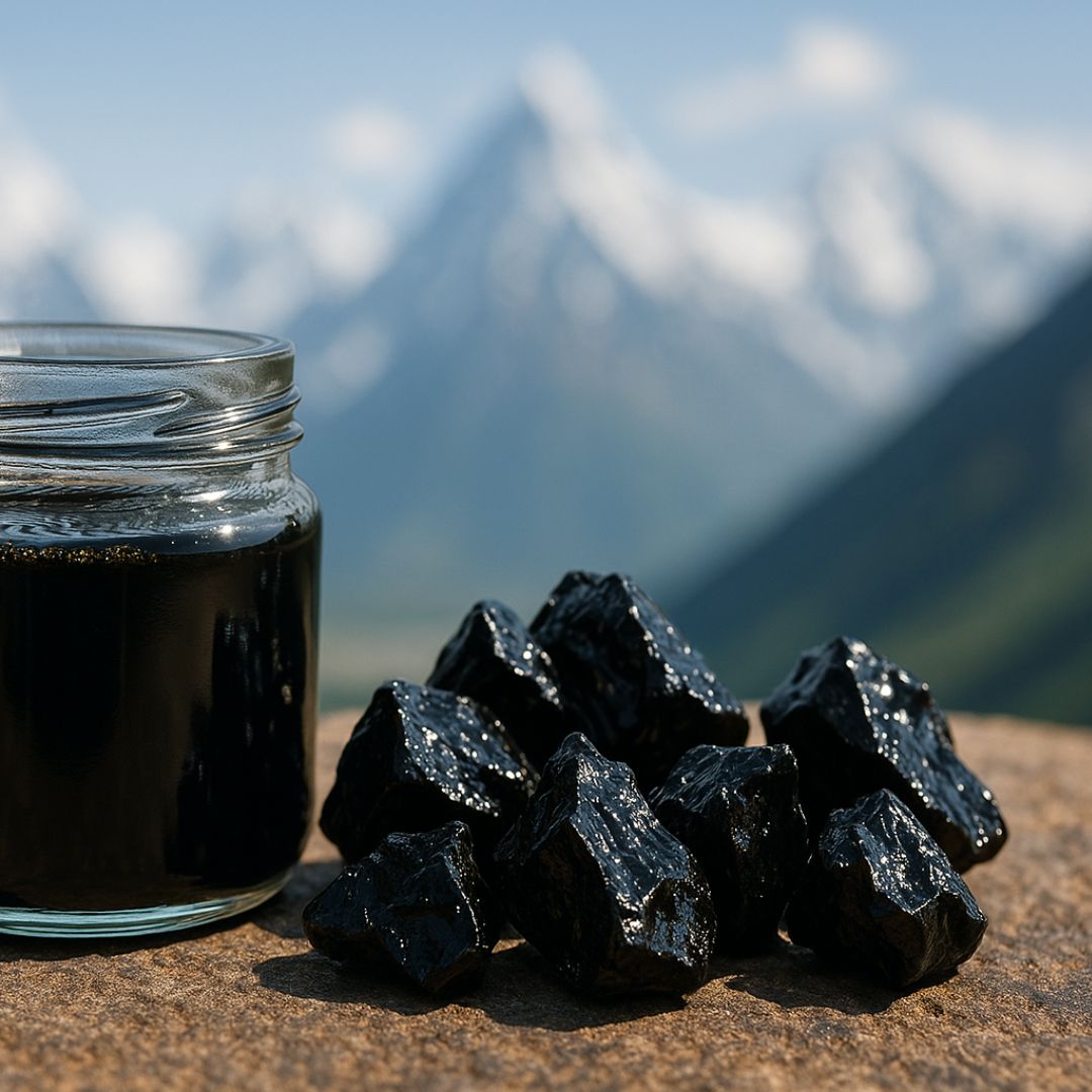 image montrant de la résine de shilajit en pot et des morceaux bruts sur le côté
