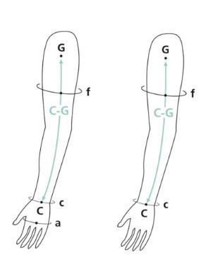 Guide des tailles Sigvaris Advance Manchon de Compression Médicale Classe 2